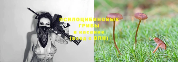 a pvp Алексин