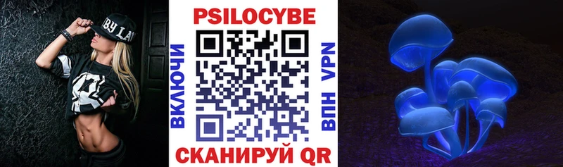 блэк спрут ТОР  Темников  Галлюциногенные грибы мицелий 